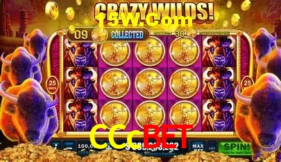 Suporte prioritário e eventos VIP